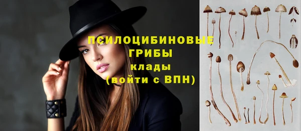 герыч Вязьма